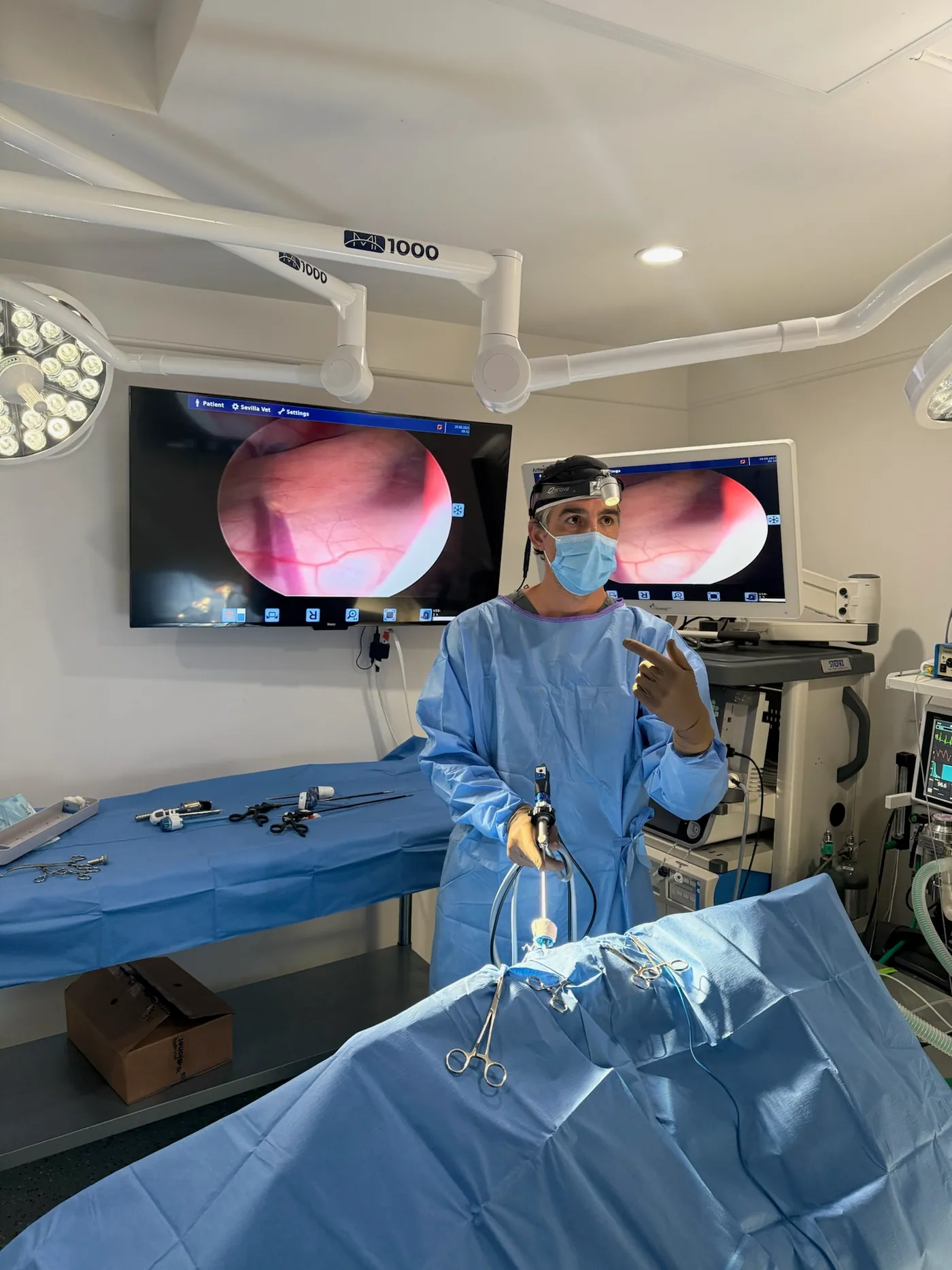 Dr. Pedraza with a canine patient before a minimally invasive procedure in Los Angeles