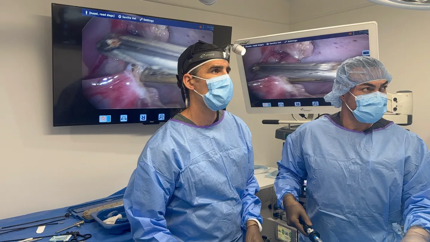 Dr. Antonio Pedraza and a surgical colleague with live imaging in the operating room